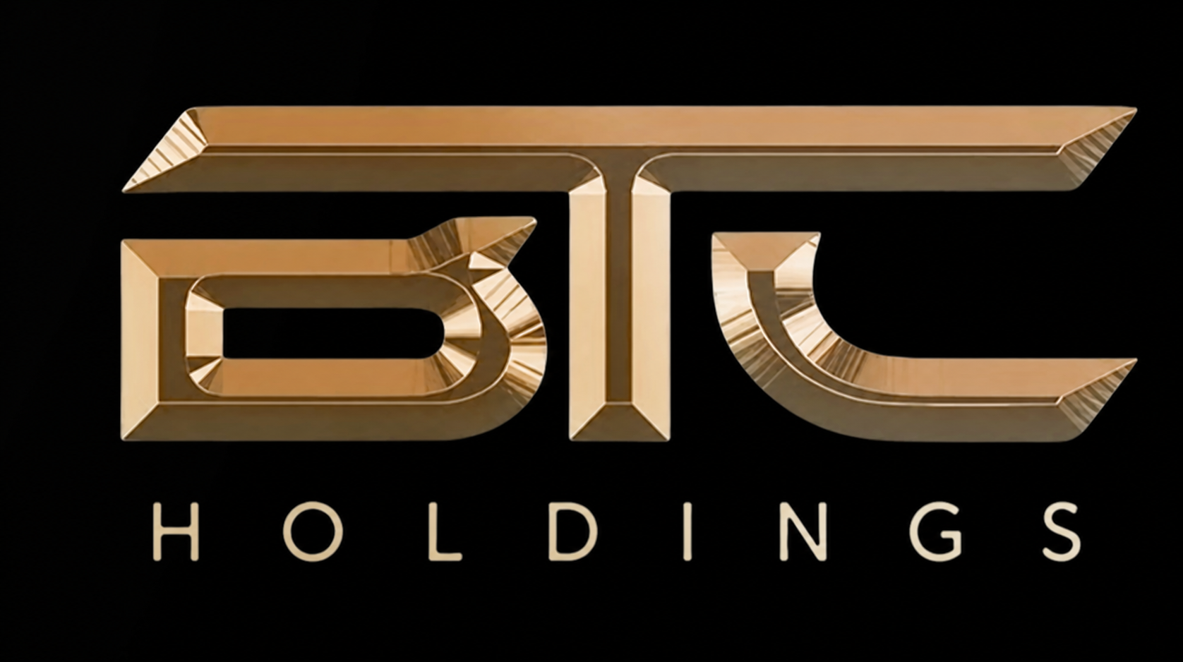 BTC Holdings logo